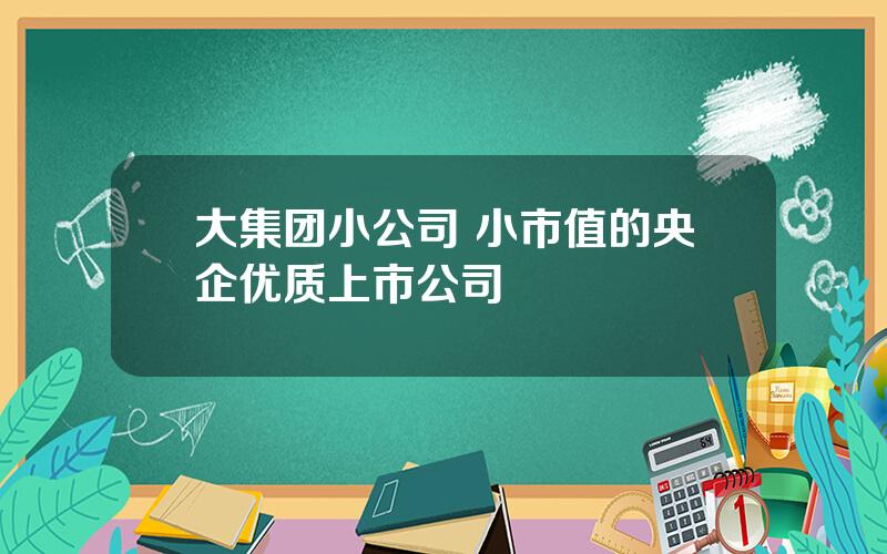 大集团小公司 小市值的央企优质上市公司